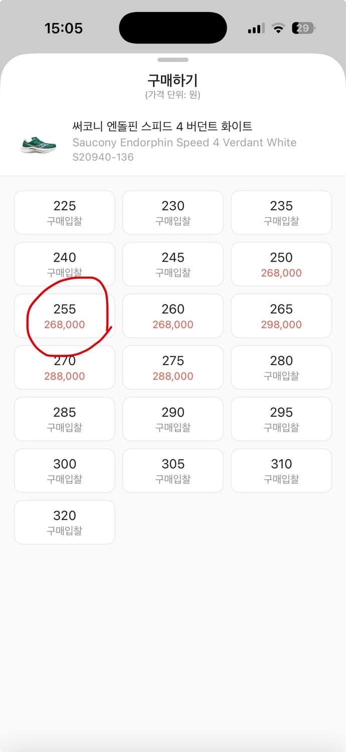 써코니 엔돌핀 스피드4 255 상품이미지7