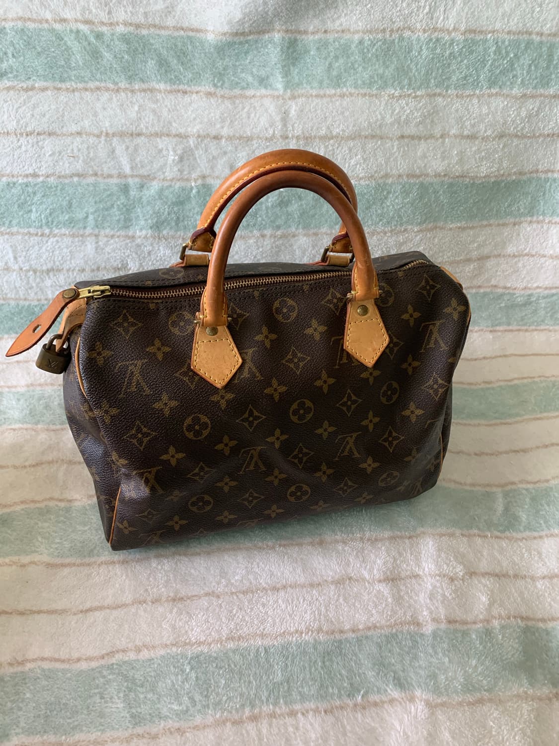 루이비통 스피디 30 상품이미지2