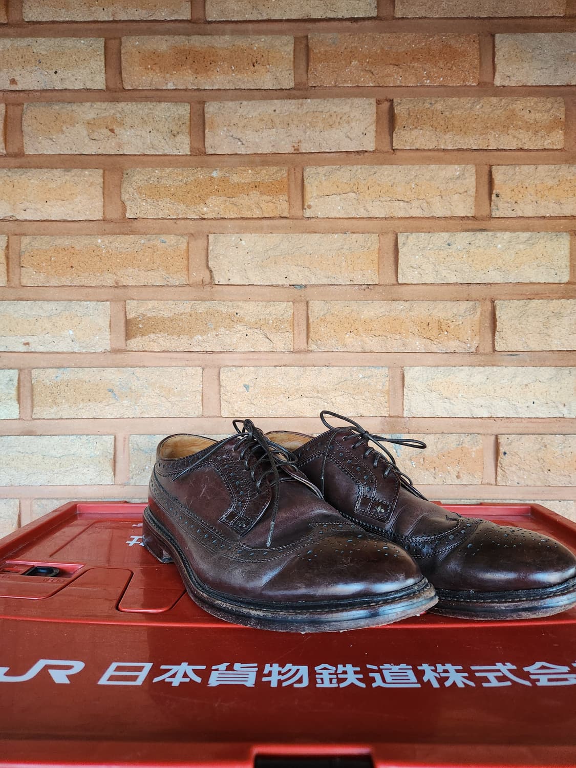 J.crew 롱윙 윙팁 6홀 드레스 슈즈 상품이미지3