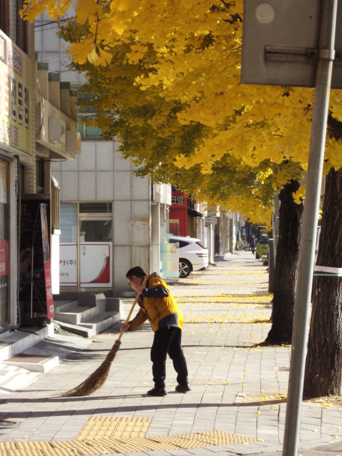 작례 미침 소니 dsc-s950 디카 상품이미지4