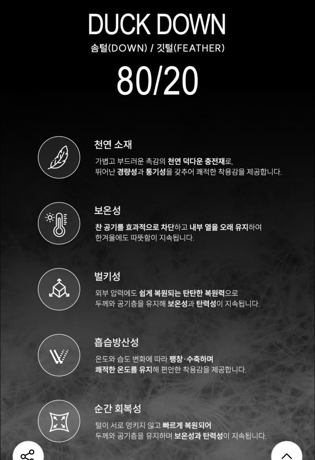 Lee 덕다운 패딩 상품이미지7