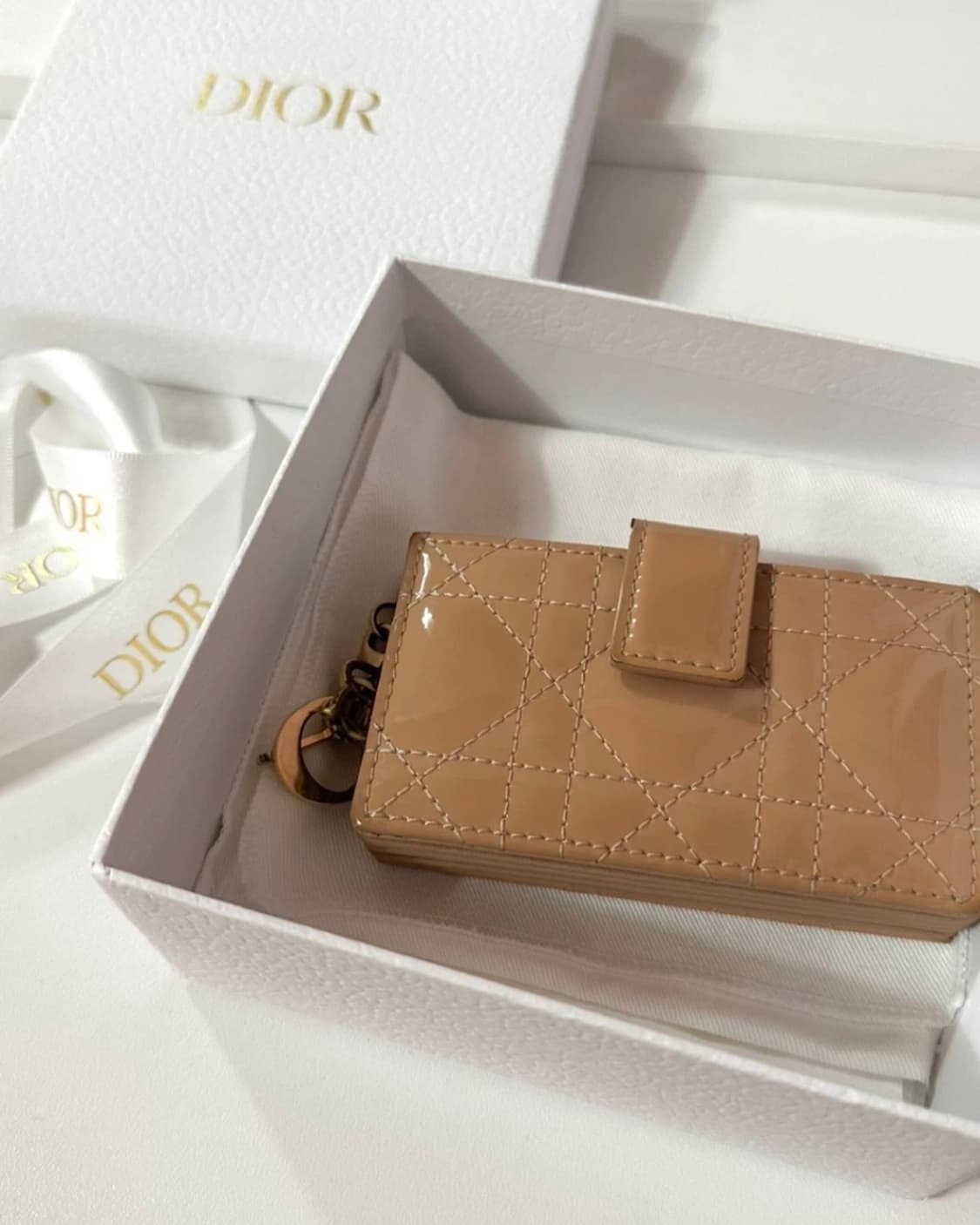 디올 레이디 페이던트 아코디언 카드지갑  상품이미지1