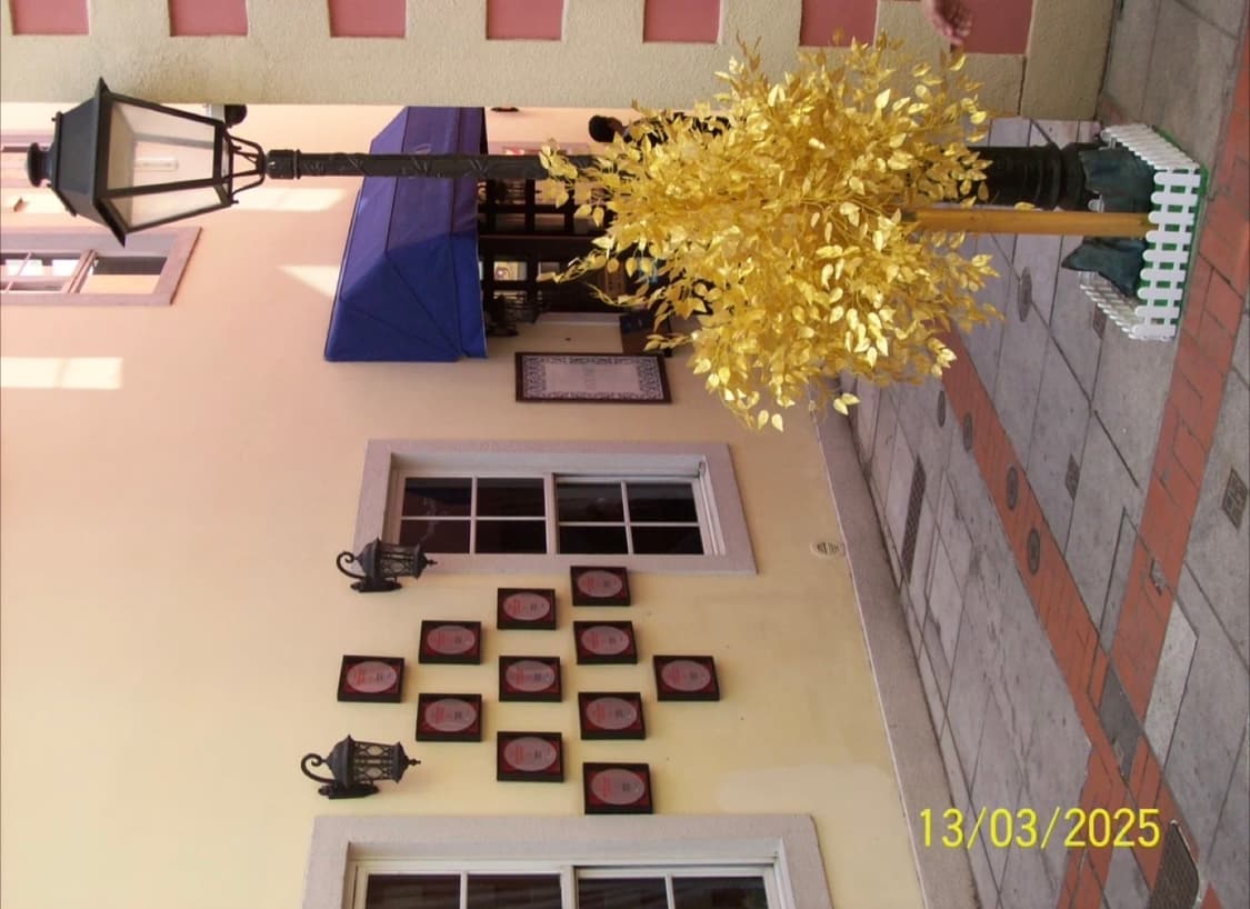 코닥 이지쉐어 C613 카리나 디카 (작례O) 상품이미지10