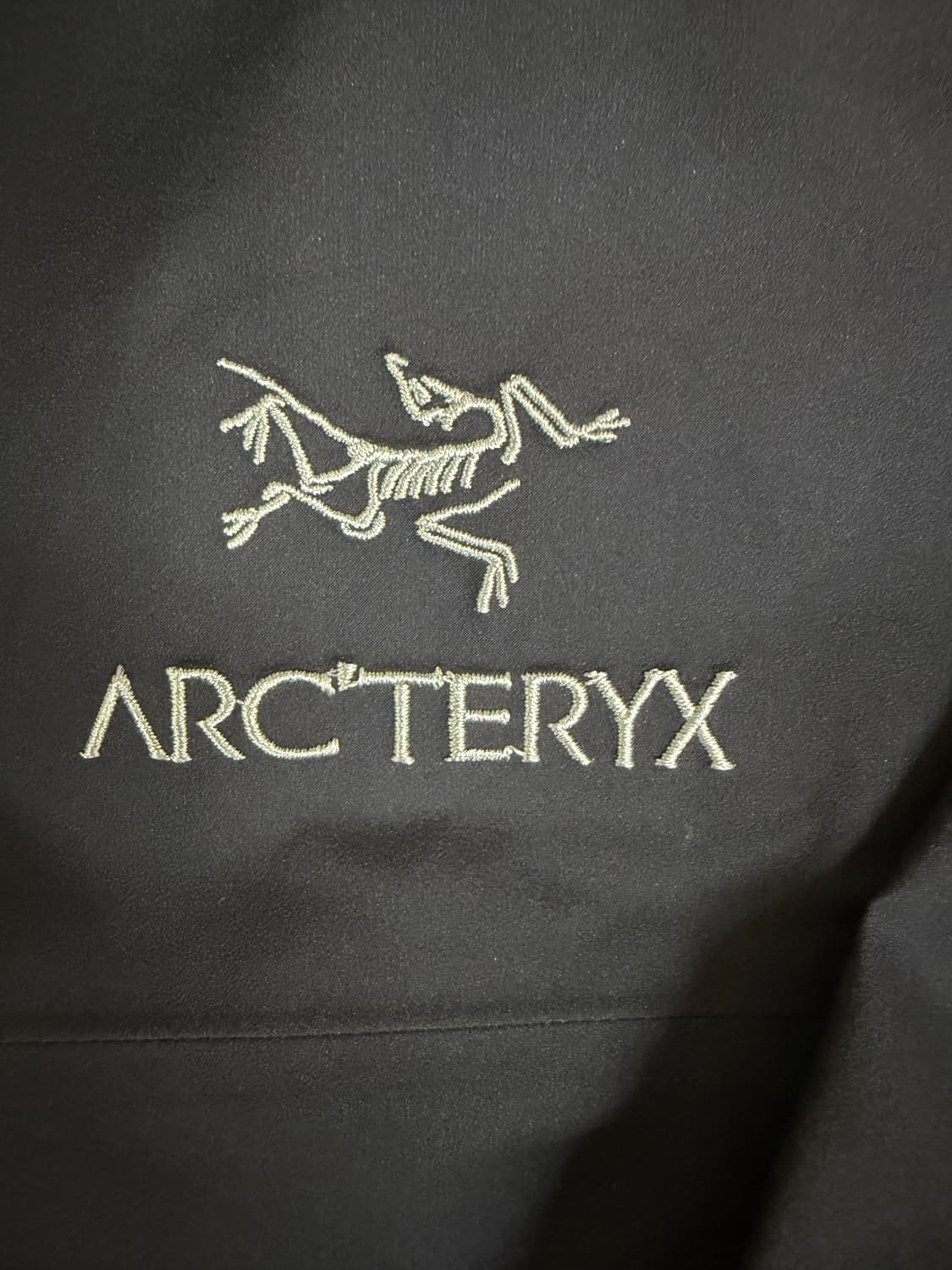 아크테릭스 베타 L 블랙사파이어 상품이미지2