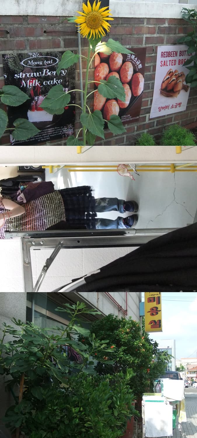 🌸봄날 디카🌸 후지필름 파인픽스 F70 EXR 실버 빈티지 디카 상품이미지10