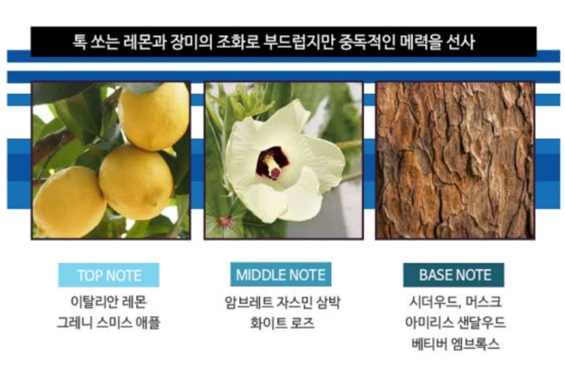 돌체앤가바나 라이트블루 이탈리안 EDT 100ml 상품이미지4