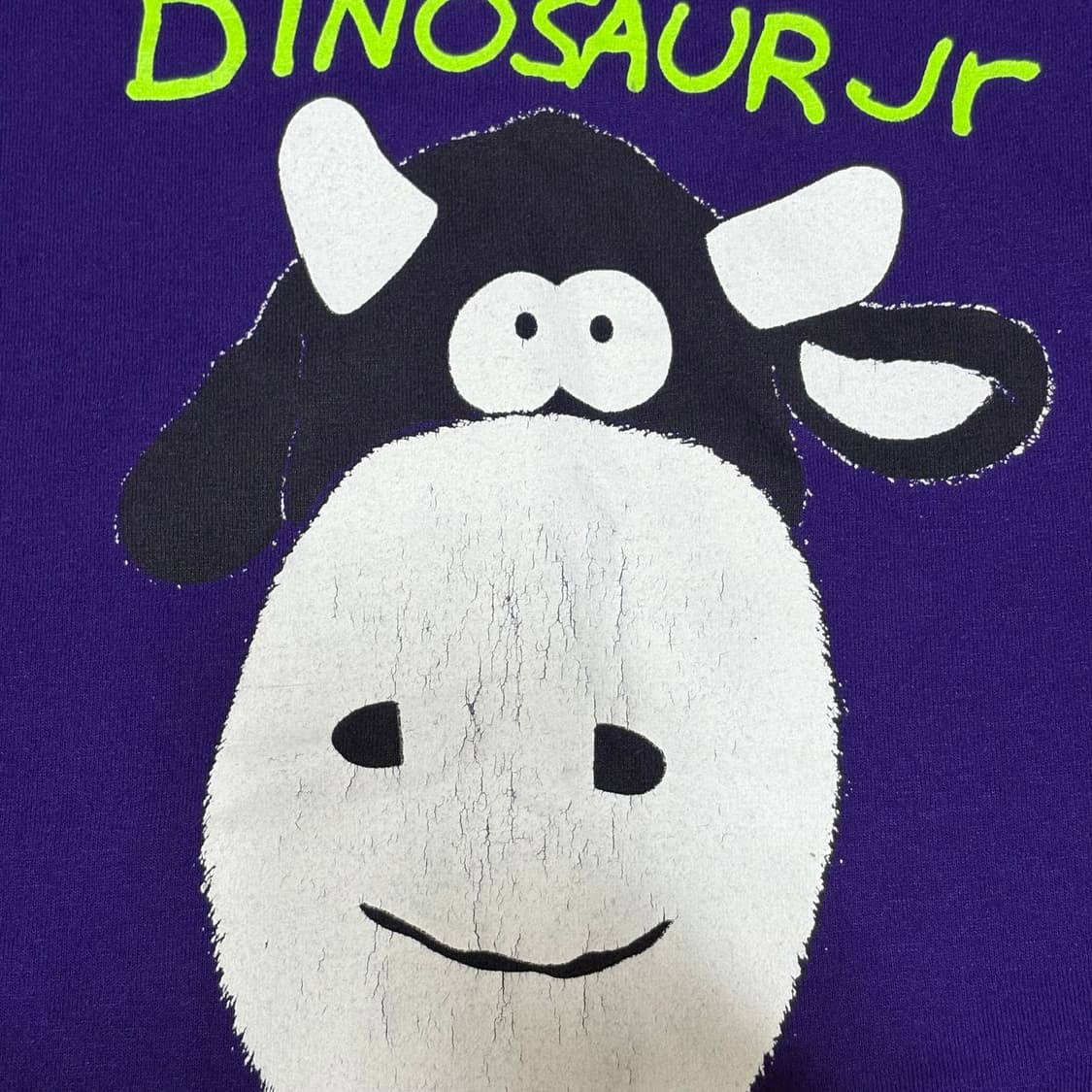 Dinosaur Jr T-shirt 상품이미지3