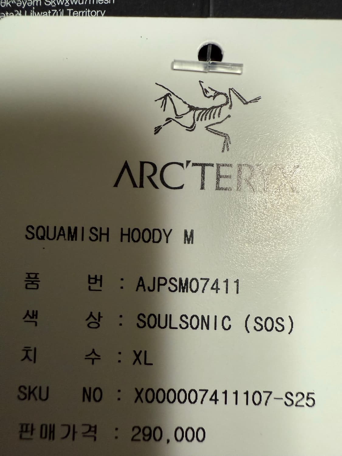 [XL] 아크테릭스 스쿼미시 소울소닉 상품이미지3