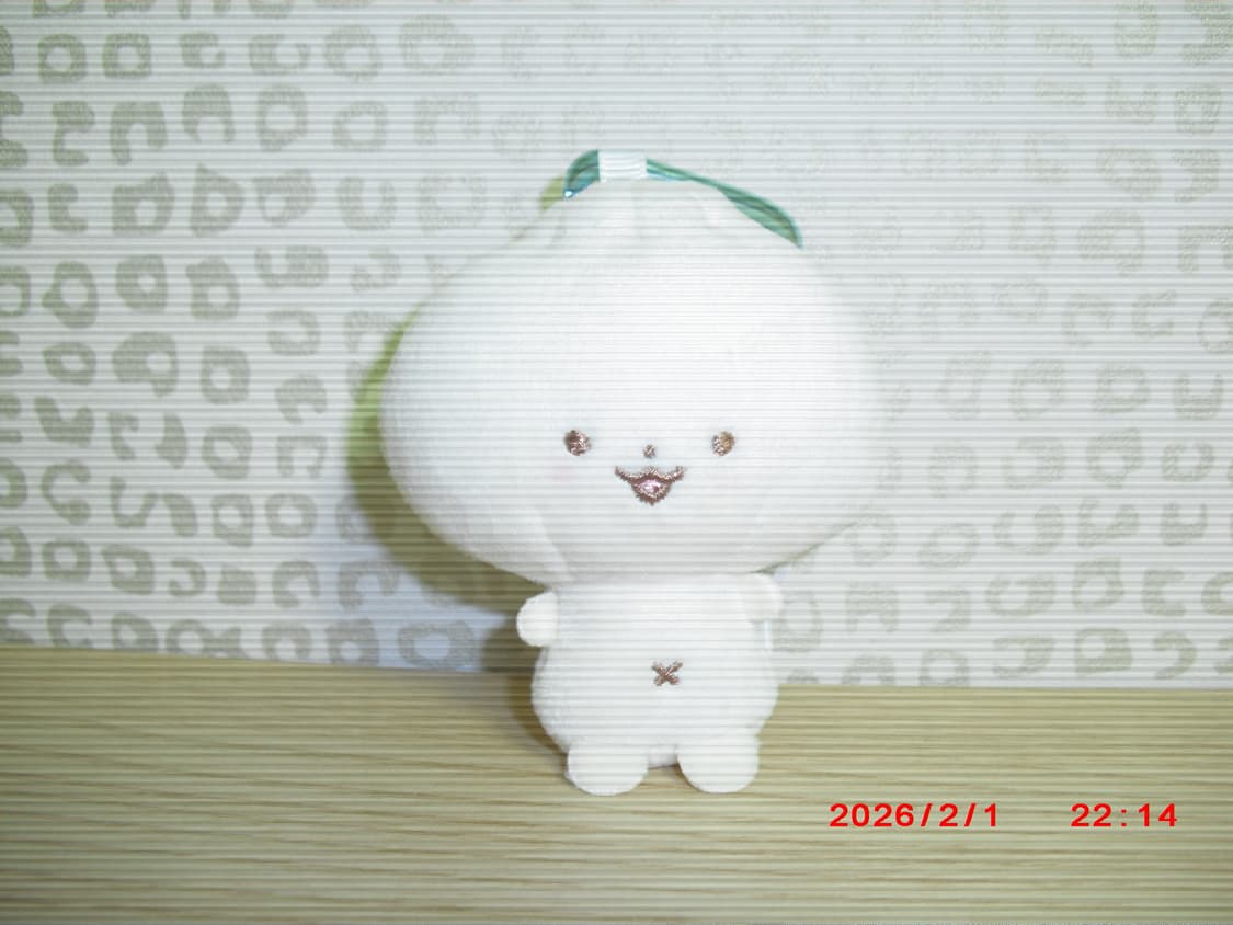 카시오 엑슬림 EX-Z1 상품이미지9