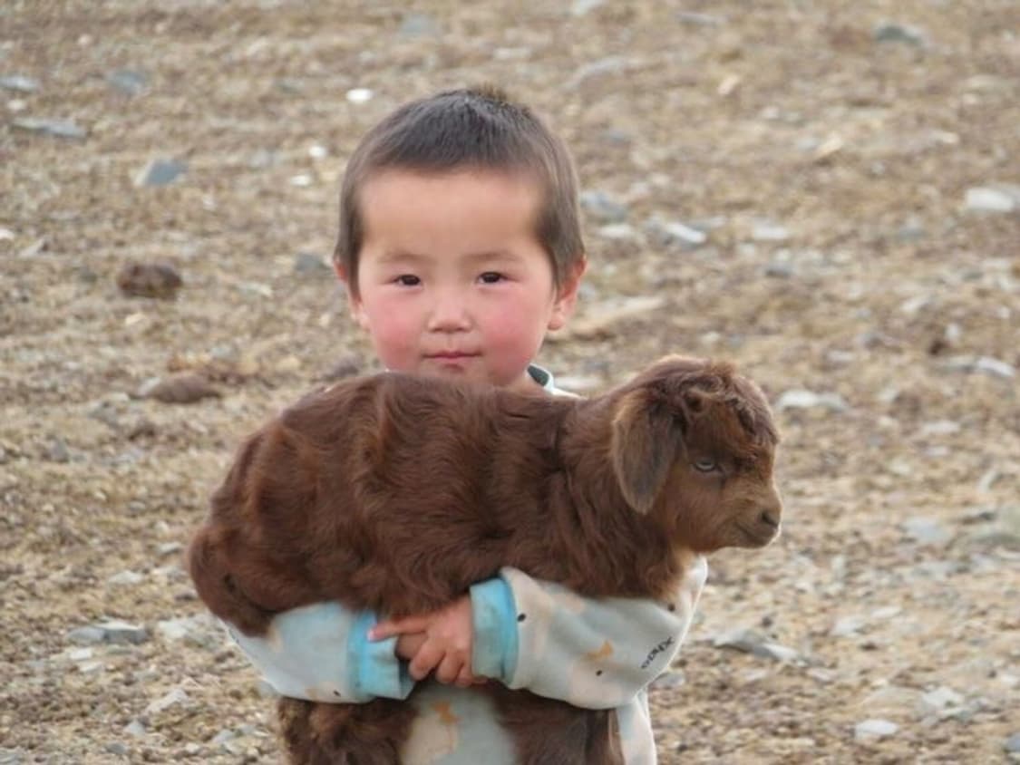 • chaAii님 결제창  🎶♥🐰 • 상품이미지1