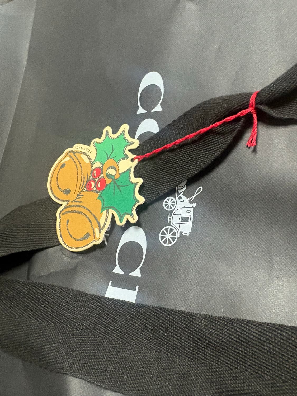 코치가방 명품 신상 상품이미지7