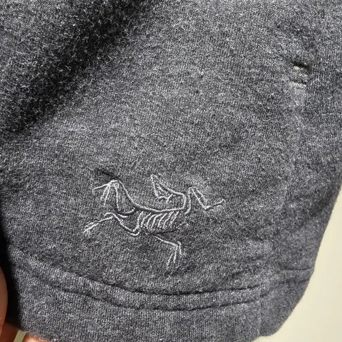 아크테릭스 후드집업 ~55 상품이미지5