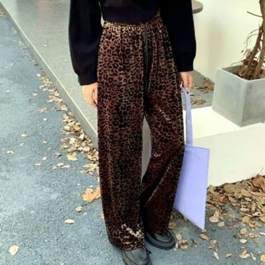 호피 벨로아 벤딩팬츠 상품이미지3