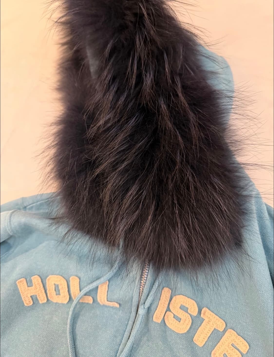 희귀)홀리스터 울프조 집업 상품이미지3