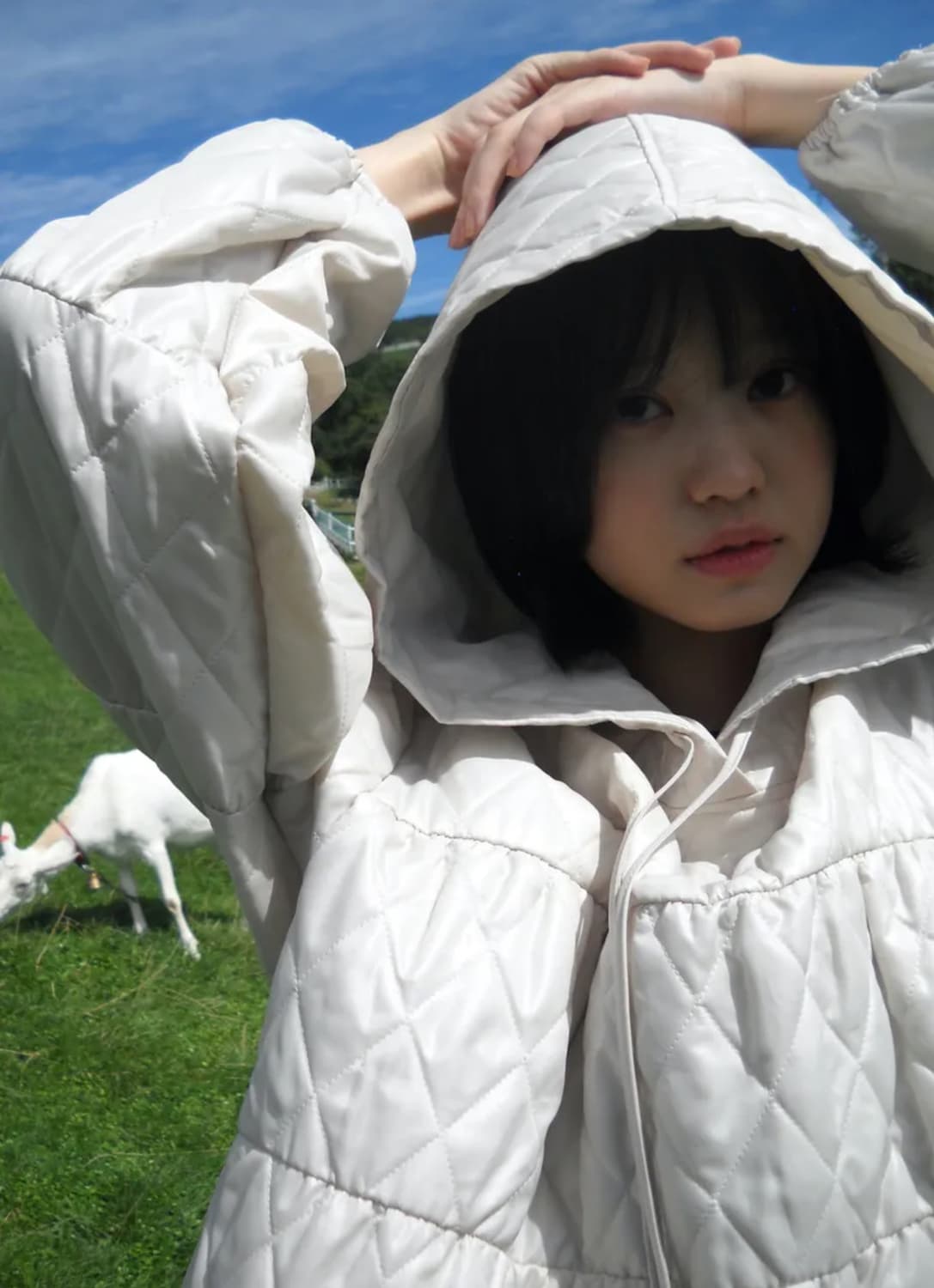 퀼티드 아노락 도브 상품이미지2