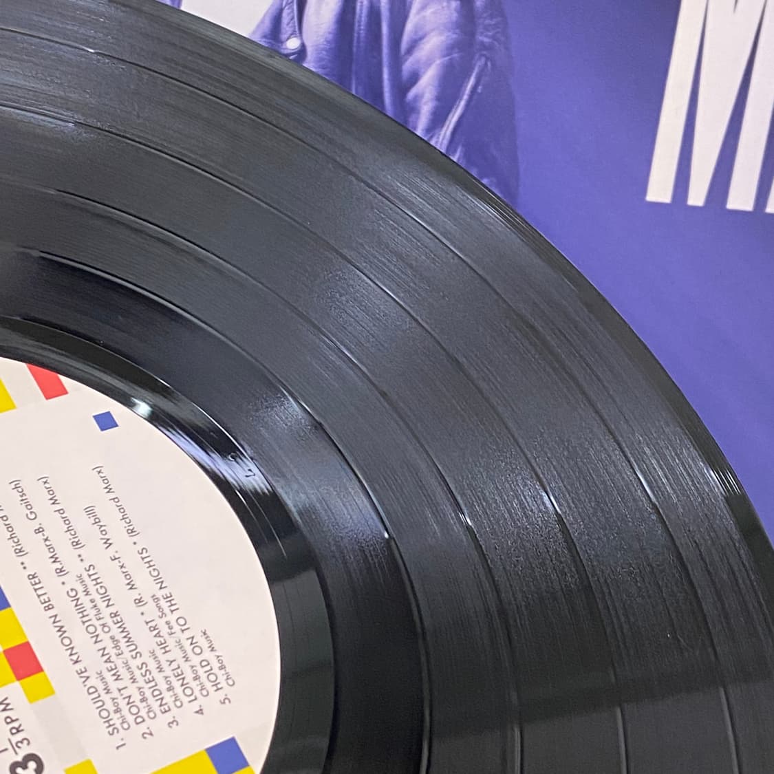 (LP) Richard Marx - Richard Marx 상품이미지6