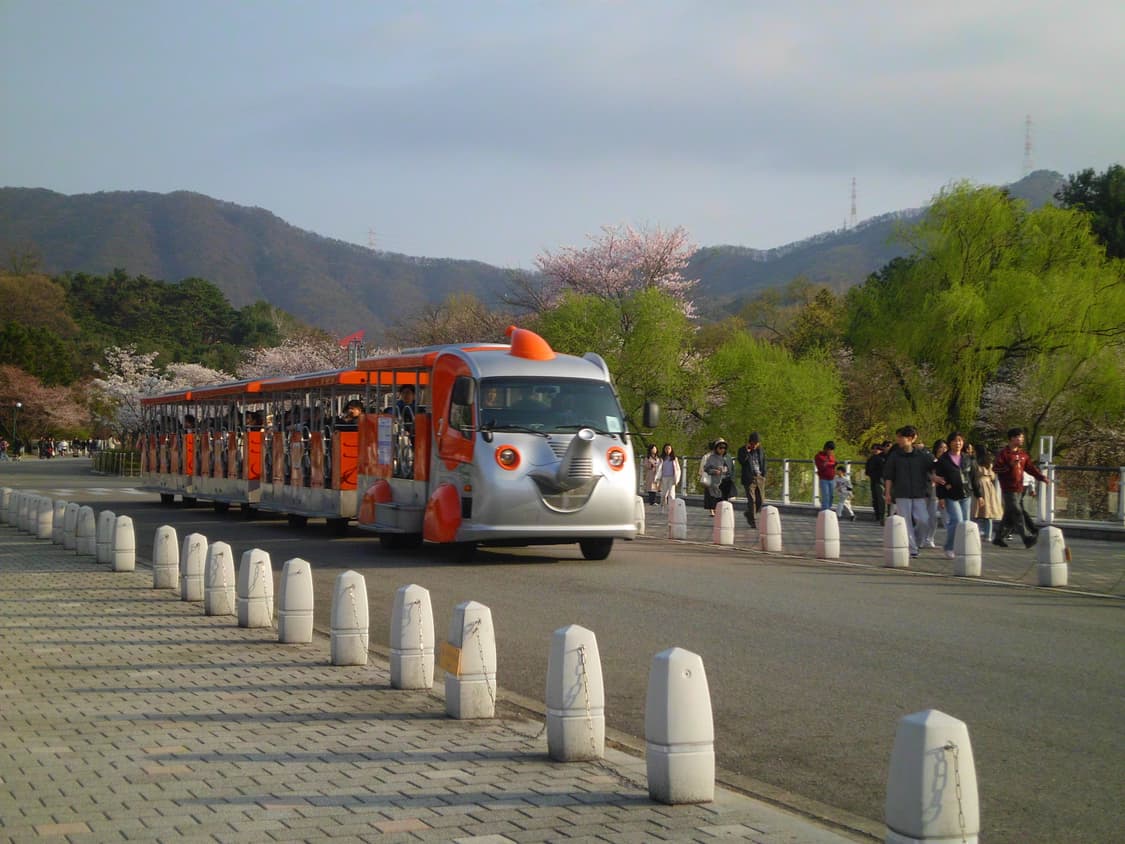 (작례O/빈티지 디카) Kenko DSC1450Z 실버 상품이미지9