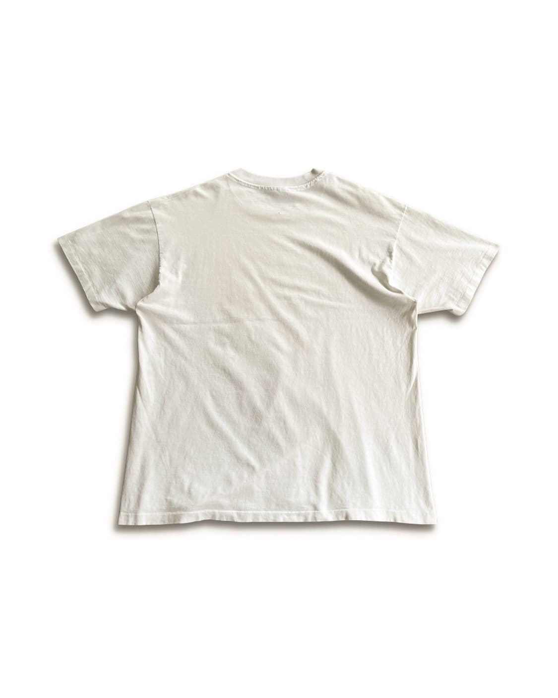 90s Champion USA Spectrum Logo T 상품이미지10