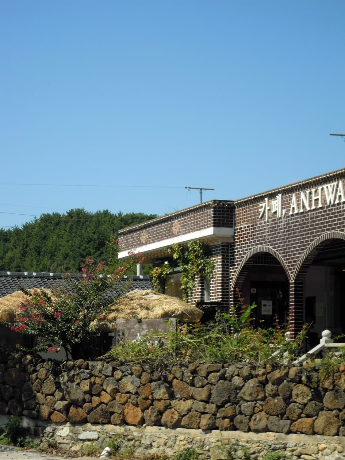 니콘 쿨픽스 P5100 빈티지디카 디카 상품이미지4