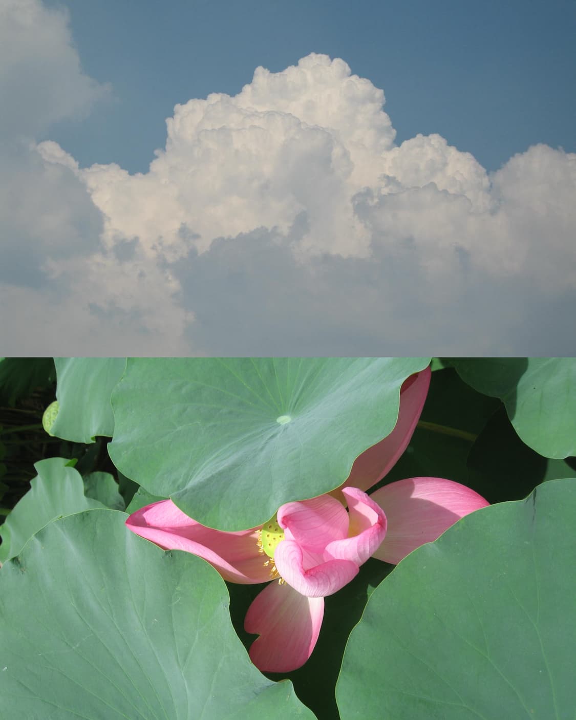 캐논 Canon IXUS 107 (작례 O) 상품이미지2