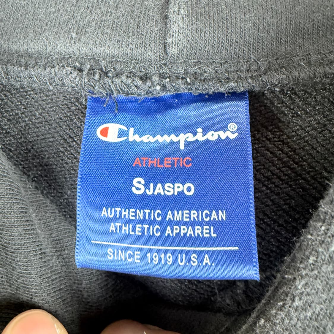 (S) 챔피온 후드 티 블랙 상품이미지3