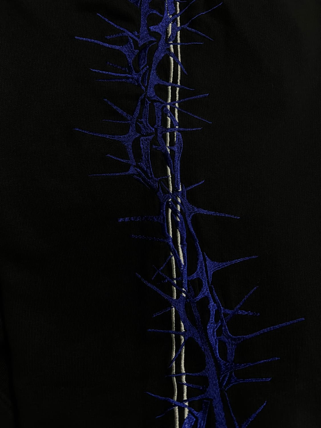 Haider Ackermann Thorn Embroidered Pants 상품이미지4