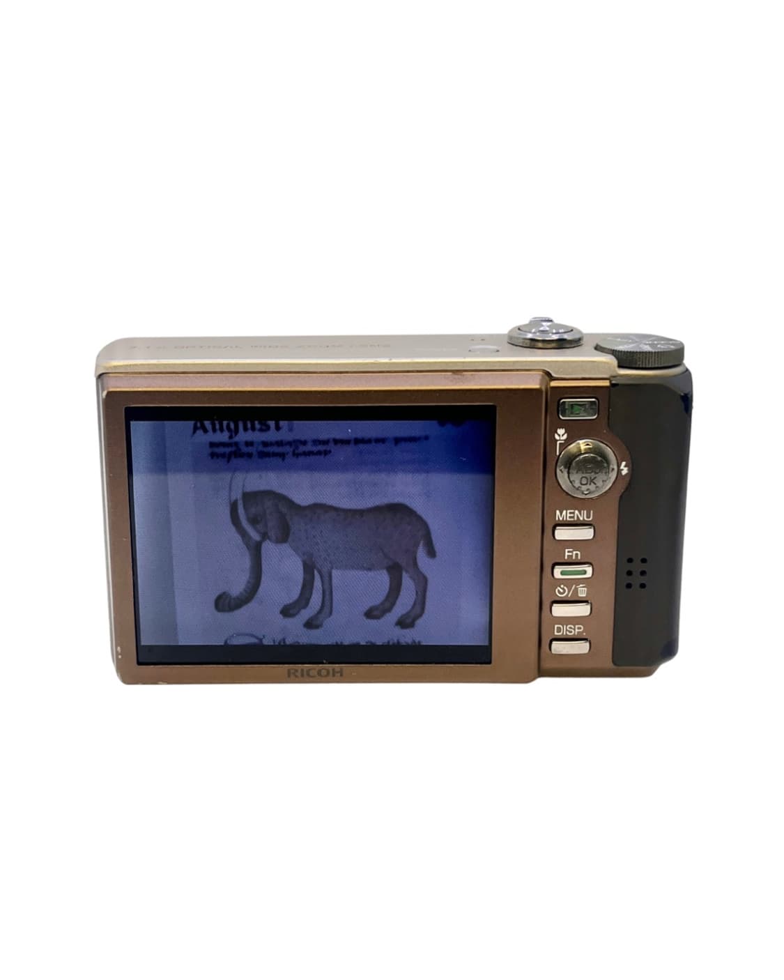 (작례!)Ricoh R10 디카 상품이미지8