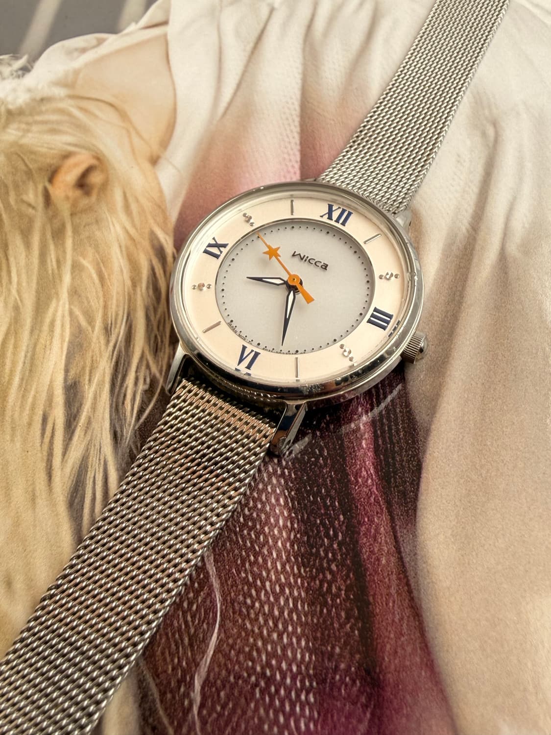 Citizen Wicca_2010s vintage Solar watch 상품이미지2