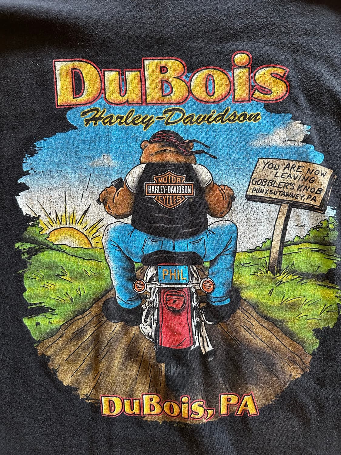 00s harley DuBois Punxsutawney Phil 상품이미지1