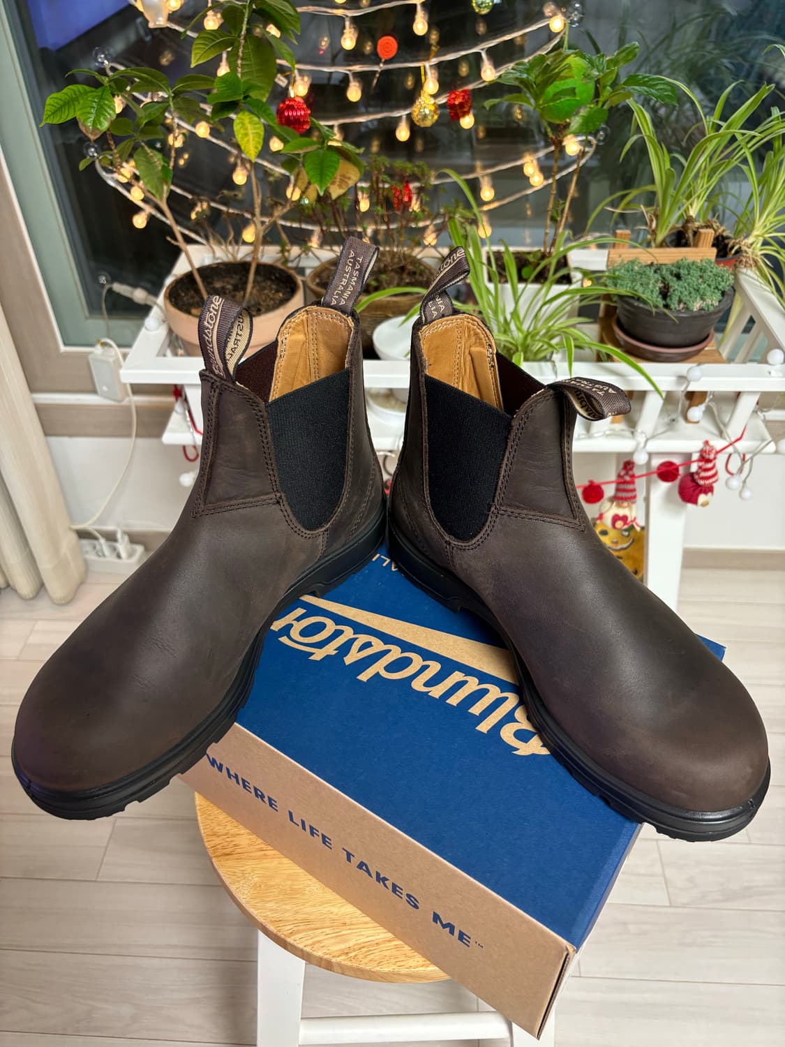 블런드스톤 클래식 2340 브라운 AU8(270) 상품이미지5