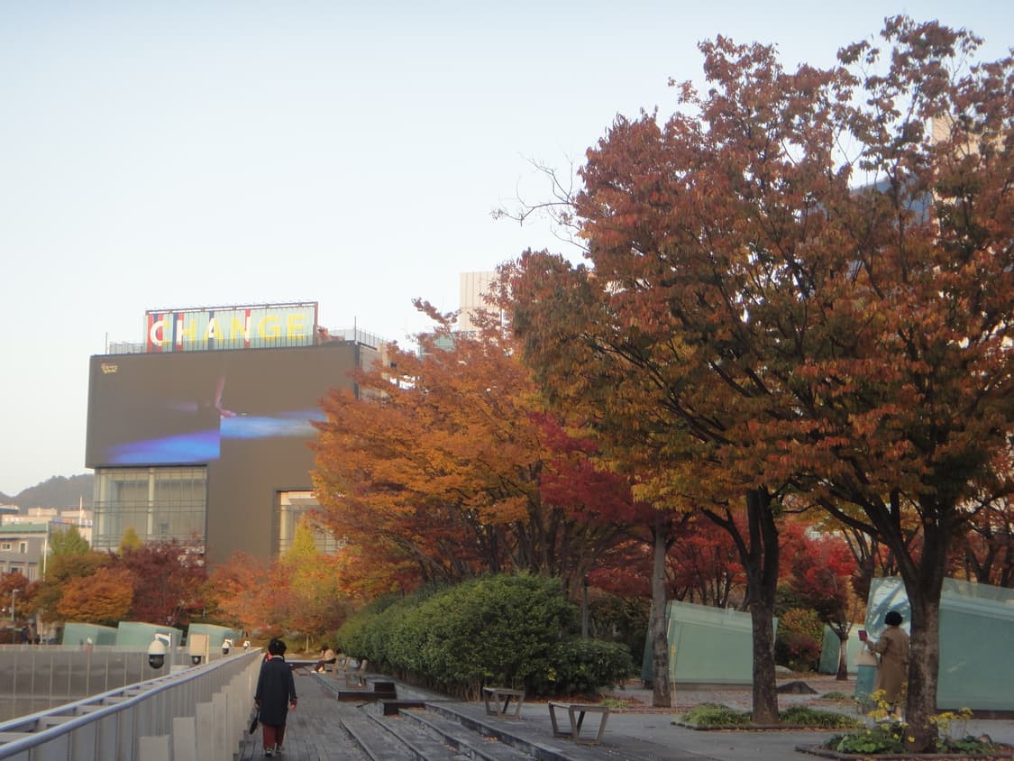 소니 사이버샷 dsc-tx9 르세라핌 허윤진 디카, 디지털 카메라 상품이미지5