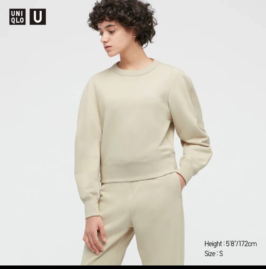 유니클로 유 유니클로르메르스웻셔츠 s  uniqlo u  상품이미지2