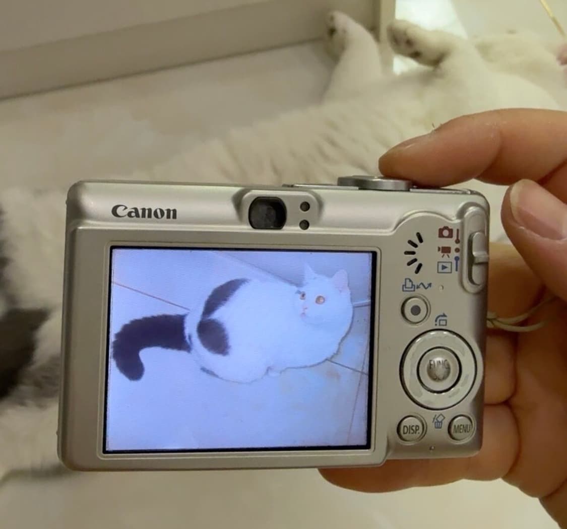 A급)캐논 익서스 60 CANON IXUS 60 빈티지 디지털카메라 디카 상품이미지9