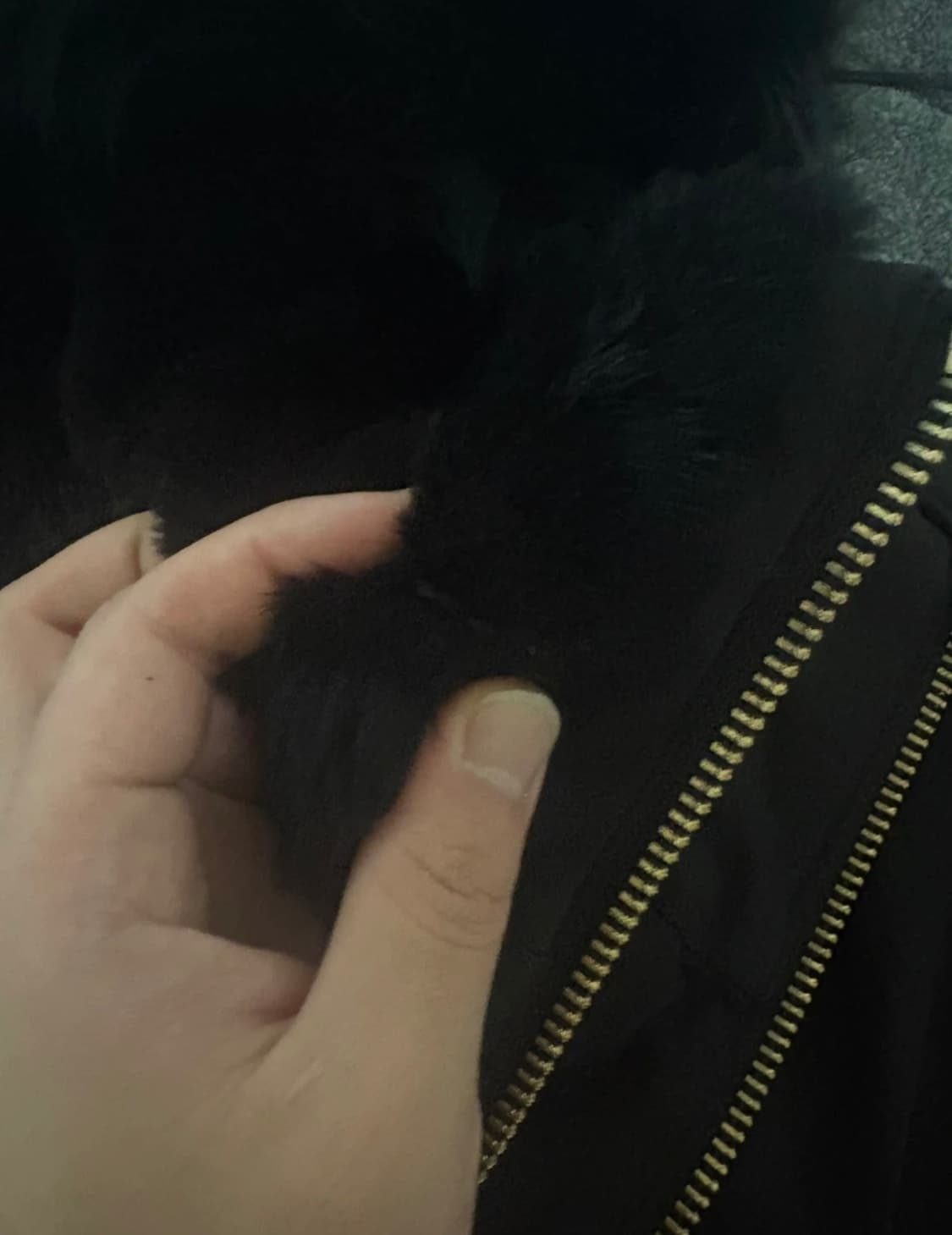 맥케이지 딕슨 패딩 38 상품이미지6