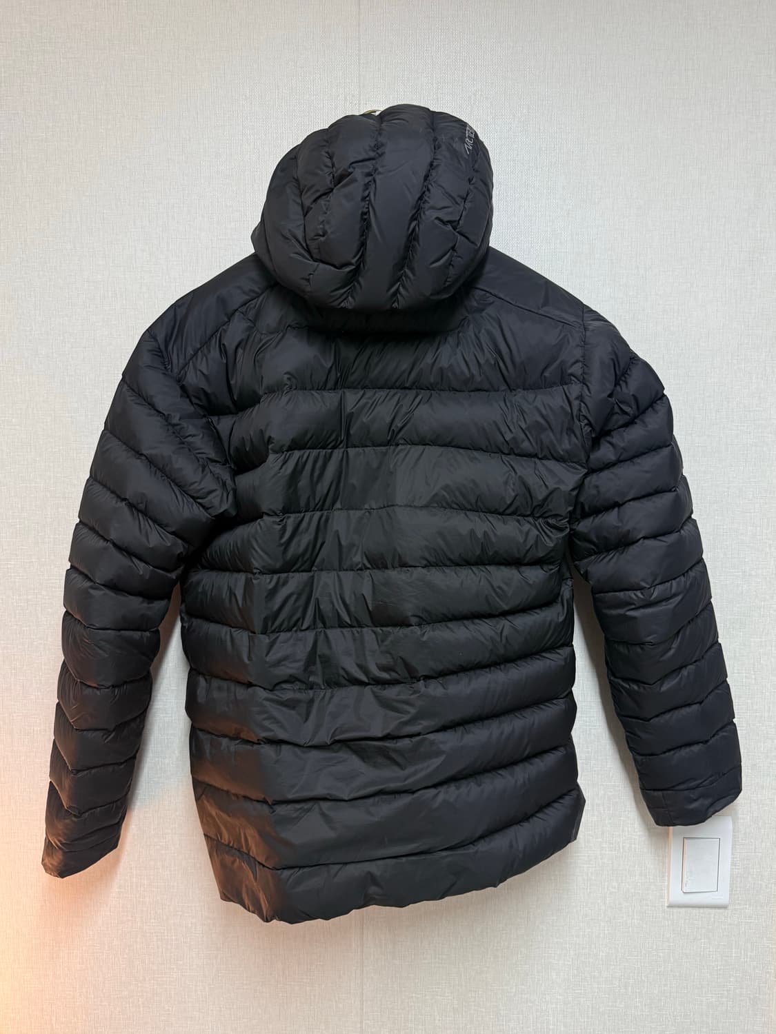 아크테릭스 세륨 L 상품이미지2