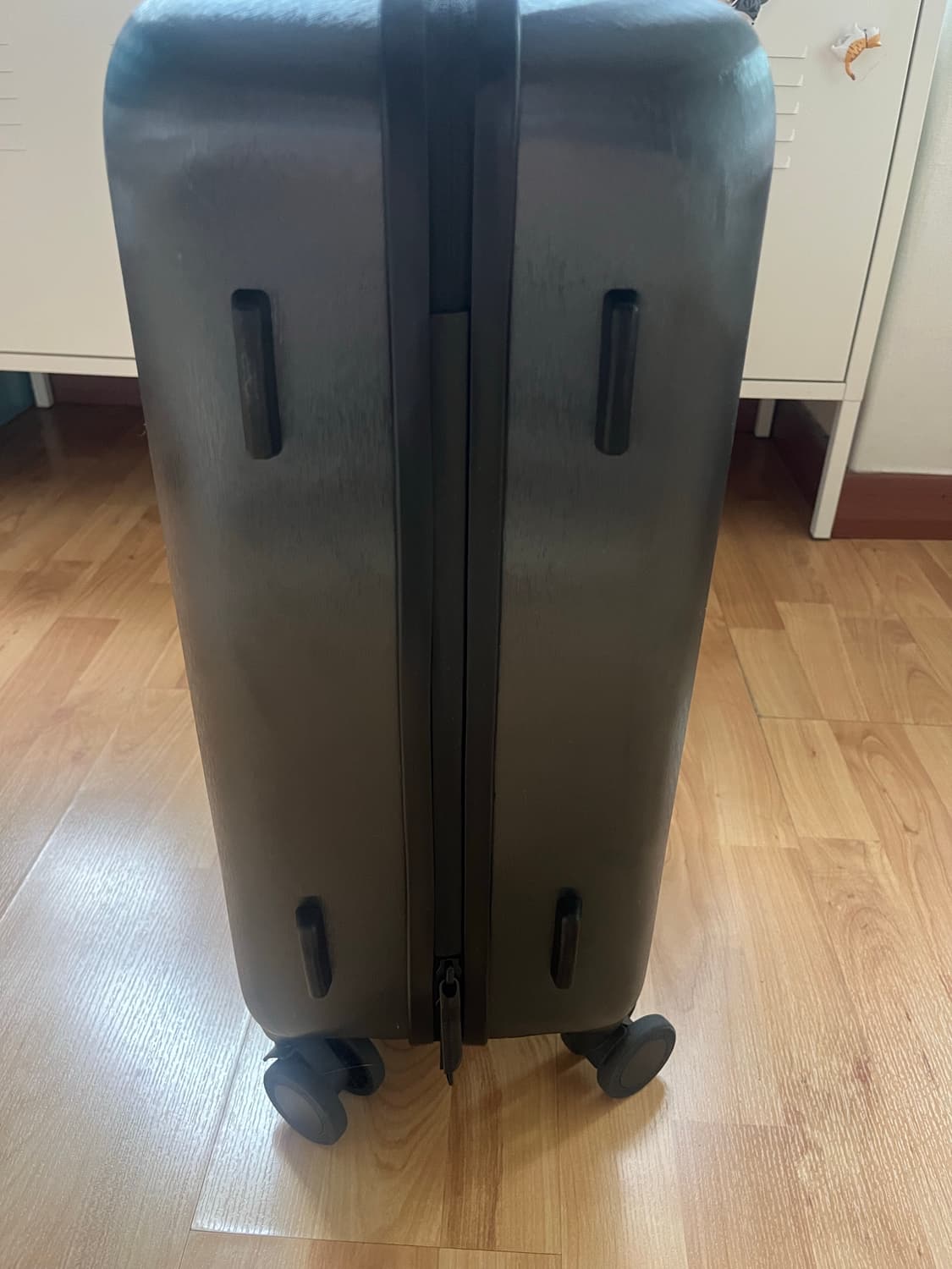 네셔널지오그래픽 기내용 캐리어 상품이미지5