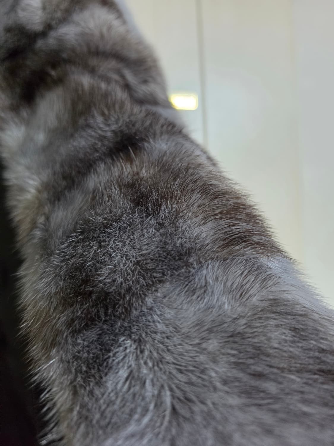 리얼 퍼(밍크 기반 + 친칠라 스타일 패턴) 하프 코트 상품이미지7