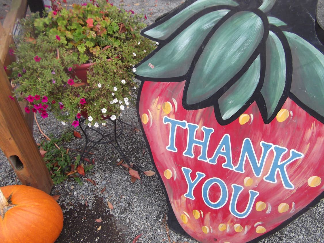 후지필름 Fujifilm Finepix JX250 디카 디지털 카메라 상품이미지5