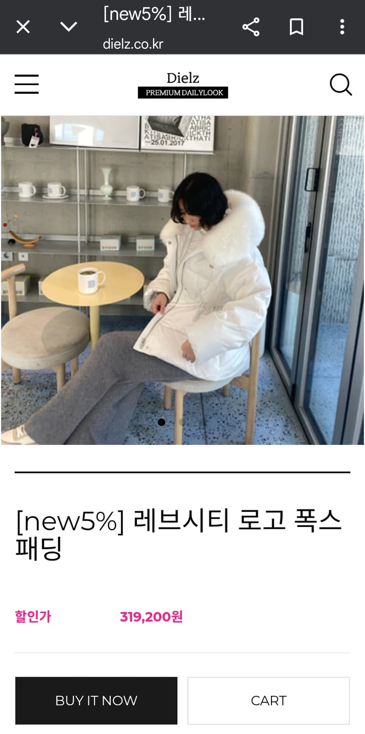 레브시티 로고 폭스 패딩  상품이미지1