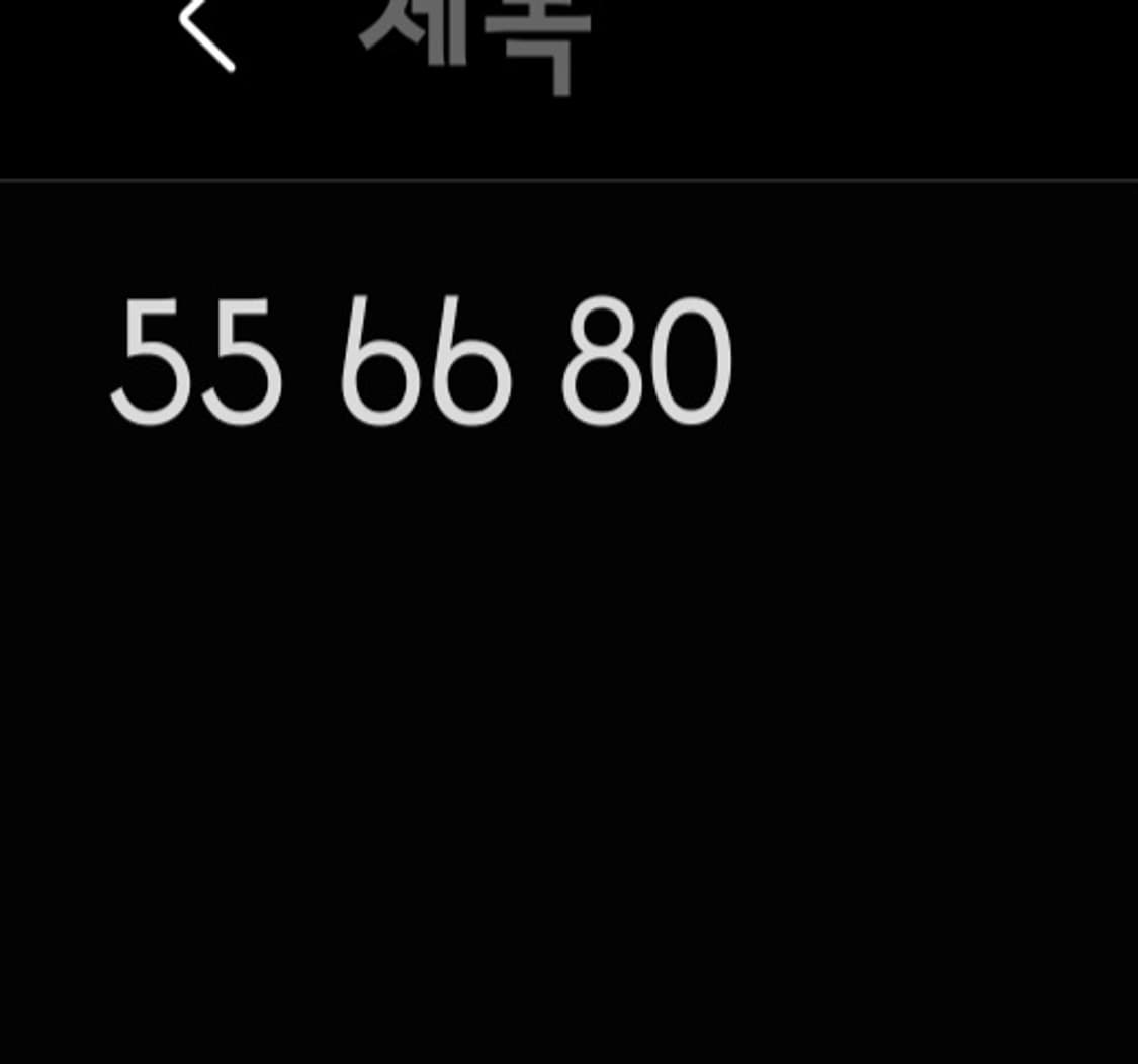 랭글러 에스닉 웨스턴 셔츠 상품이미지5