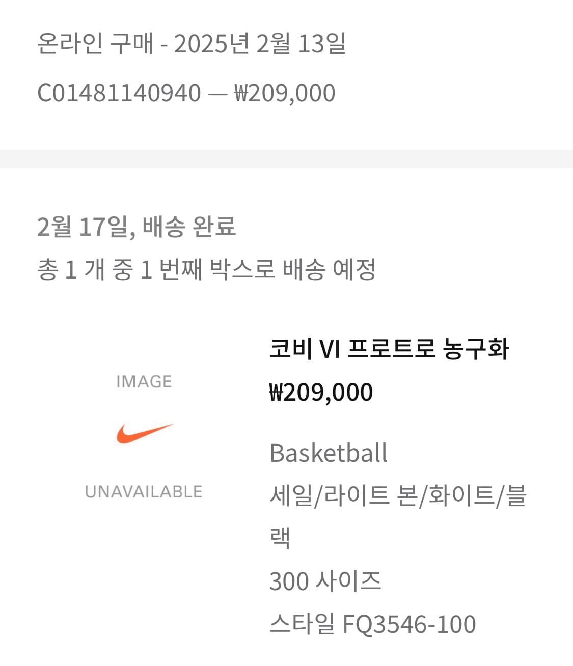 나이키 코비6 프로트로 농구화 300 상품이미지4