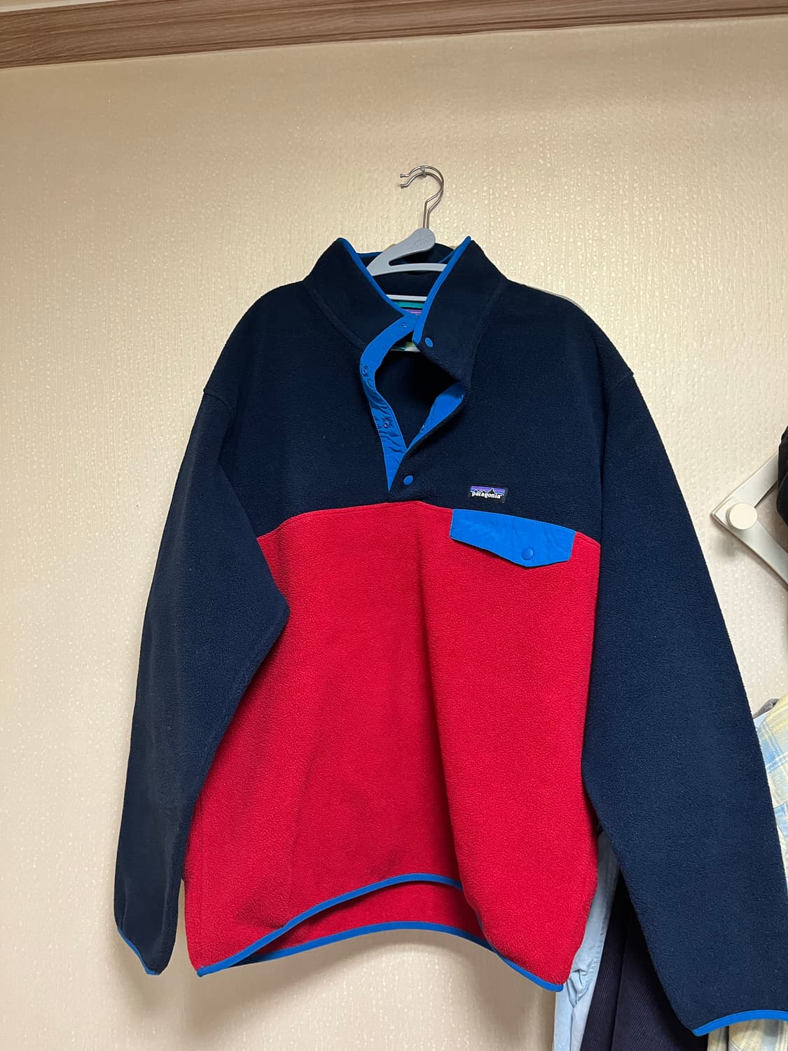 ( 켄달제너 착용) 파타고니아 신칠라 플리스 L 판매 상품이미지2