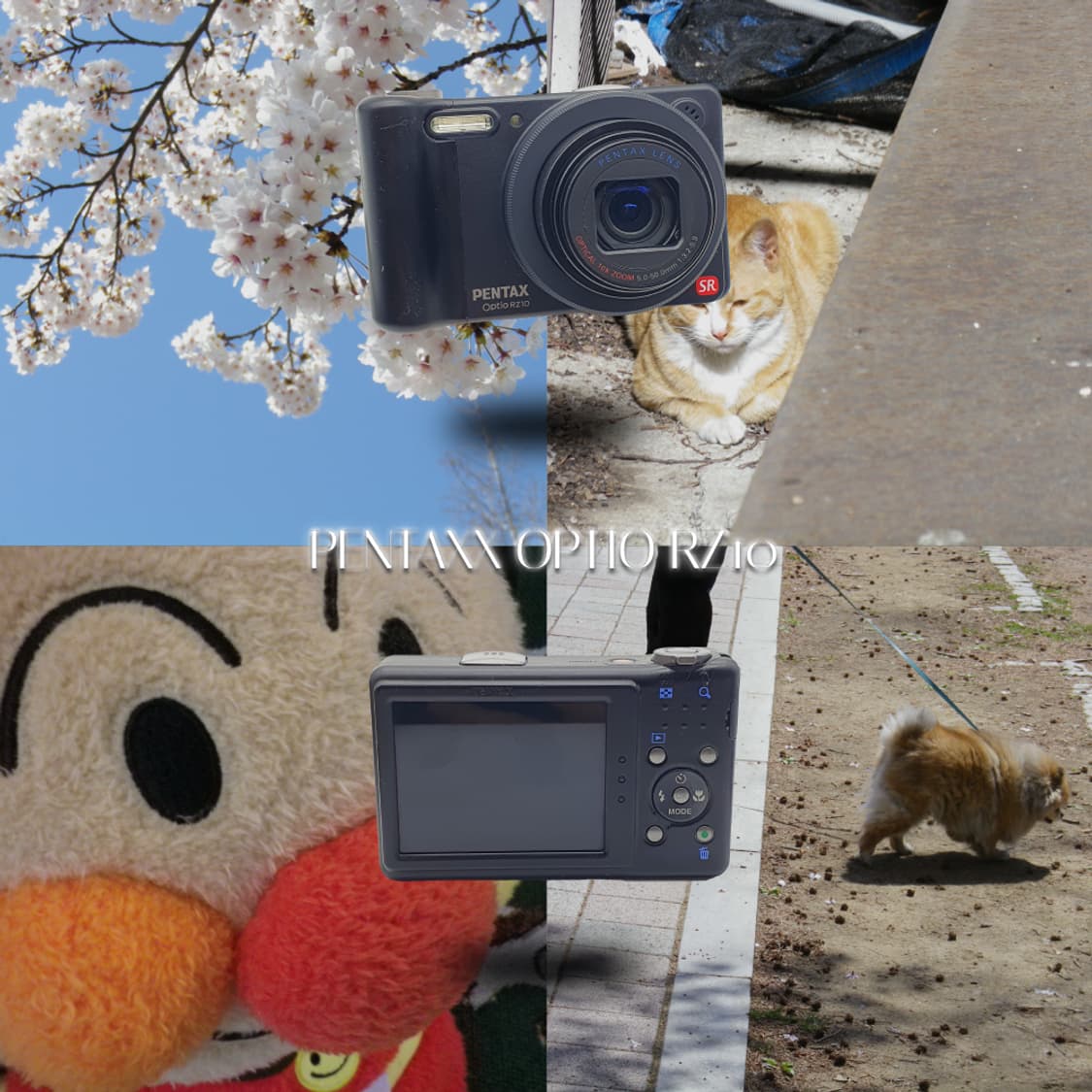 작례⭕️ 펜탁스 옵티오 RZ10  자연피부톤 ✨뽀용 🌸 상품이미지1