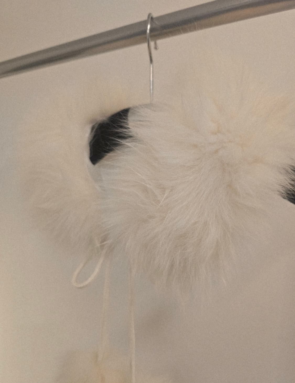 퍼 카라 쁘띠 목도리 상품이미지4