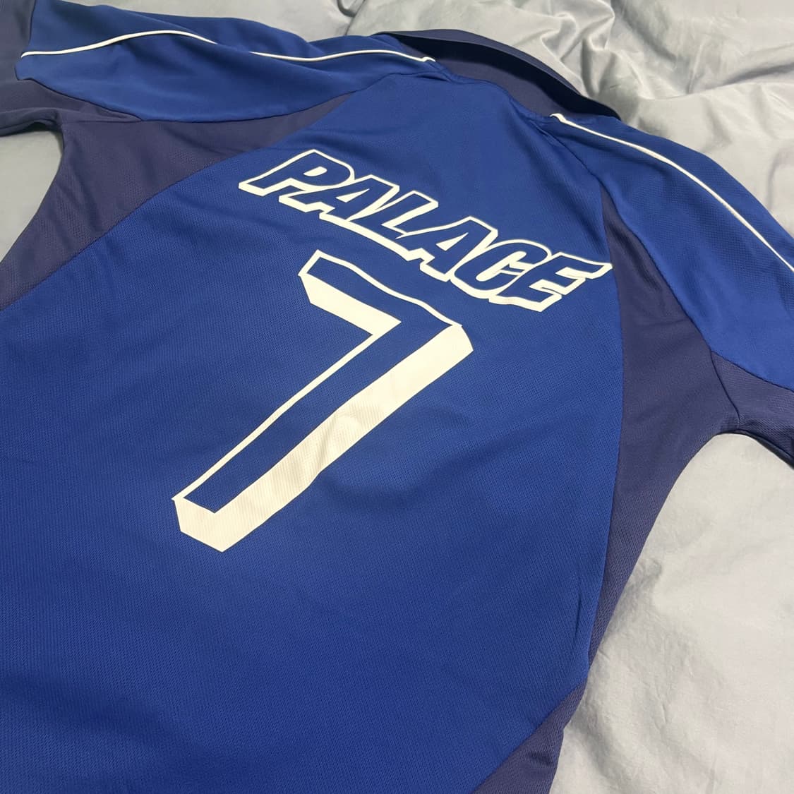 팔라스 팔레이스 프로 팀 저지 블루베리 25SS 상품이미지4