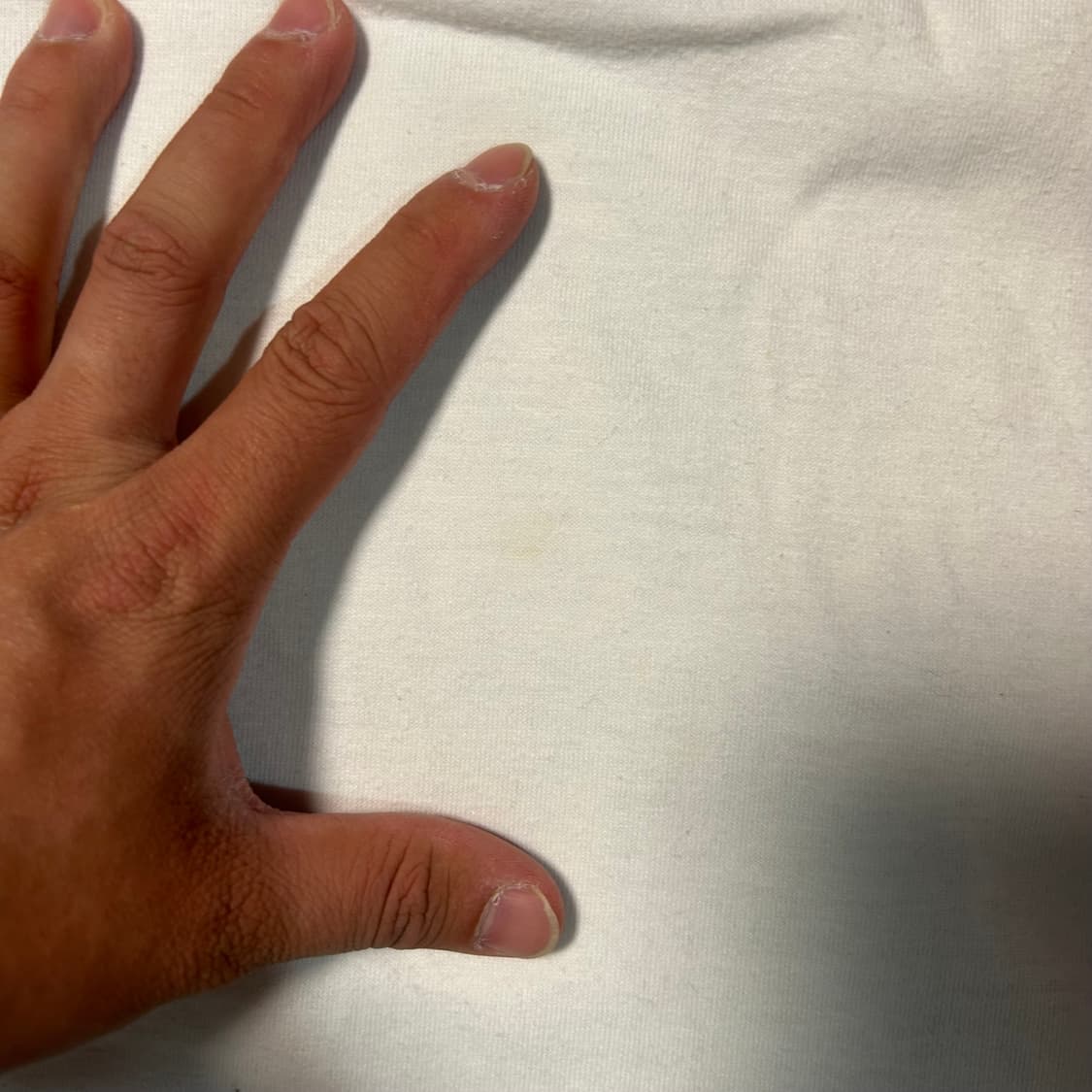 [M] 빔즈 로고 반팔 상품이미지6