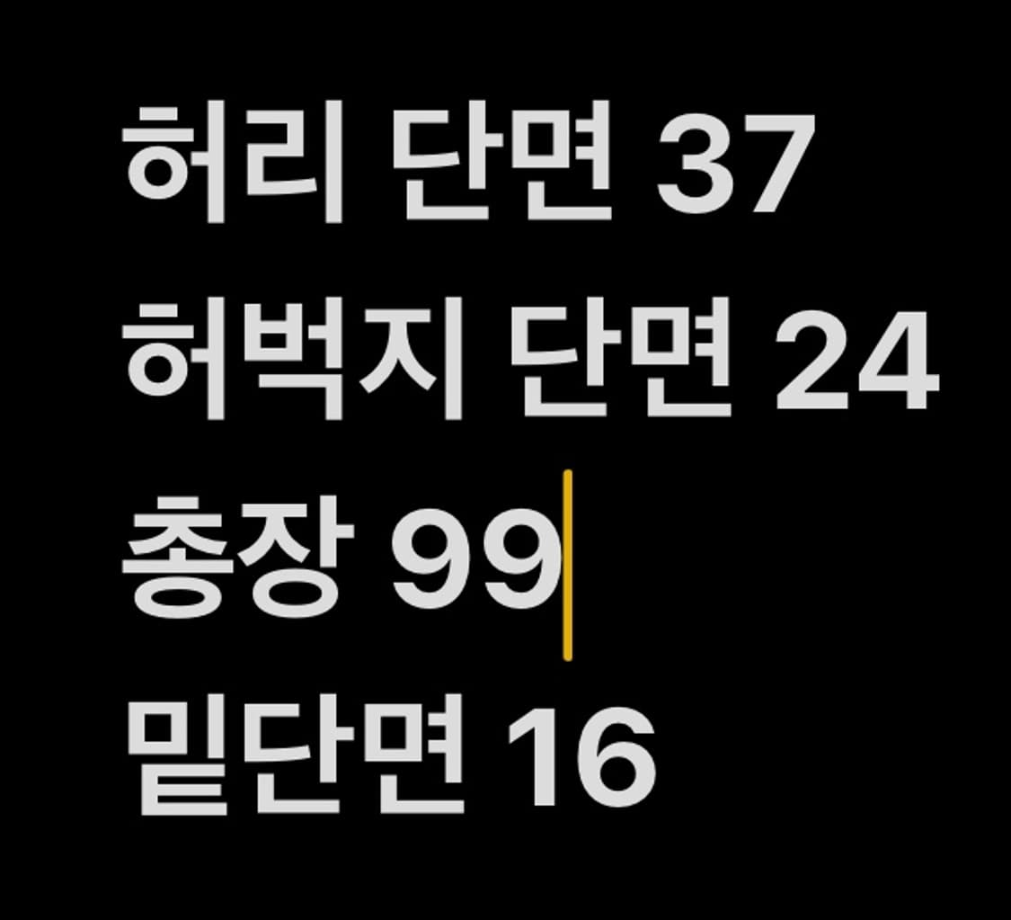 [ 정품/L ] 마크앤로나 골프 퀄팅 패딩 바지 b10 상품이미지6