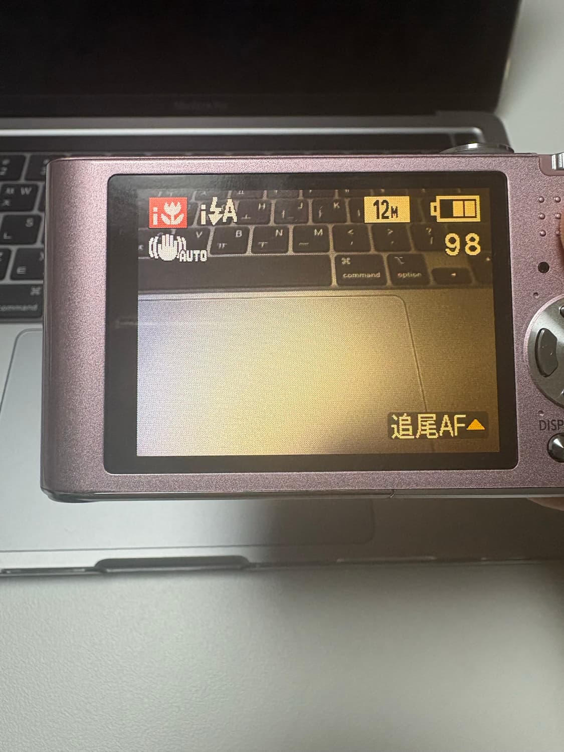 루믹스 DMC-FX60 상품이미지7