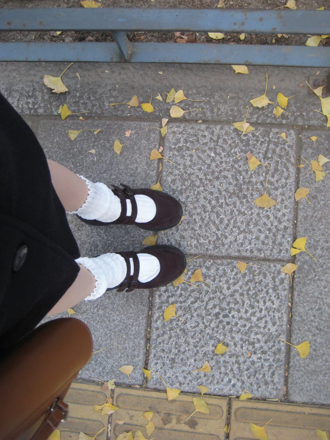 디카 익서스 70 [토모토모,프리지아 디카} 상품이미지4