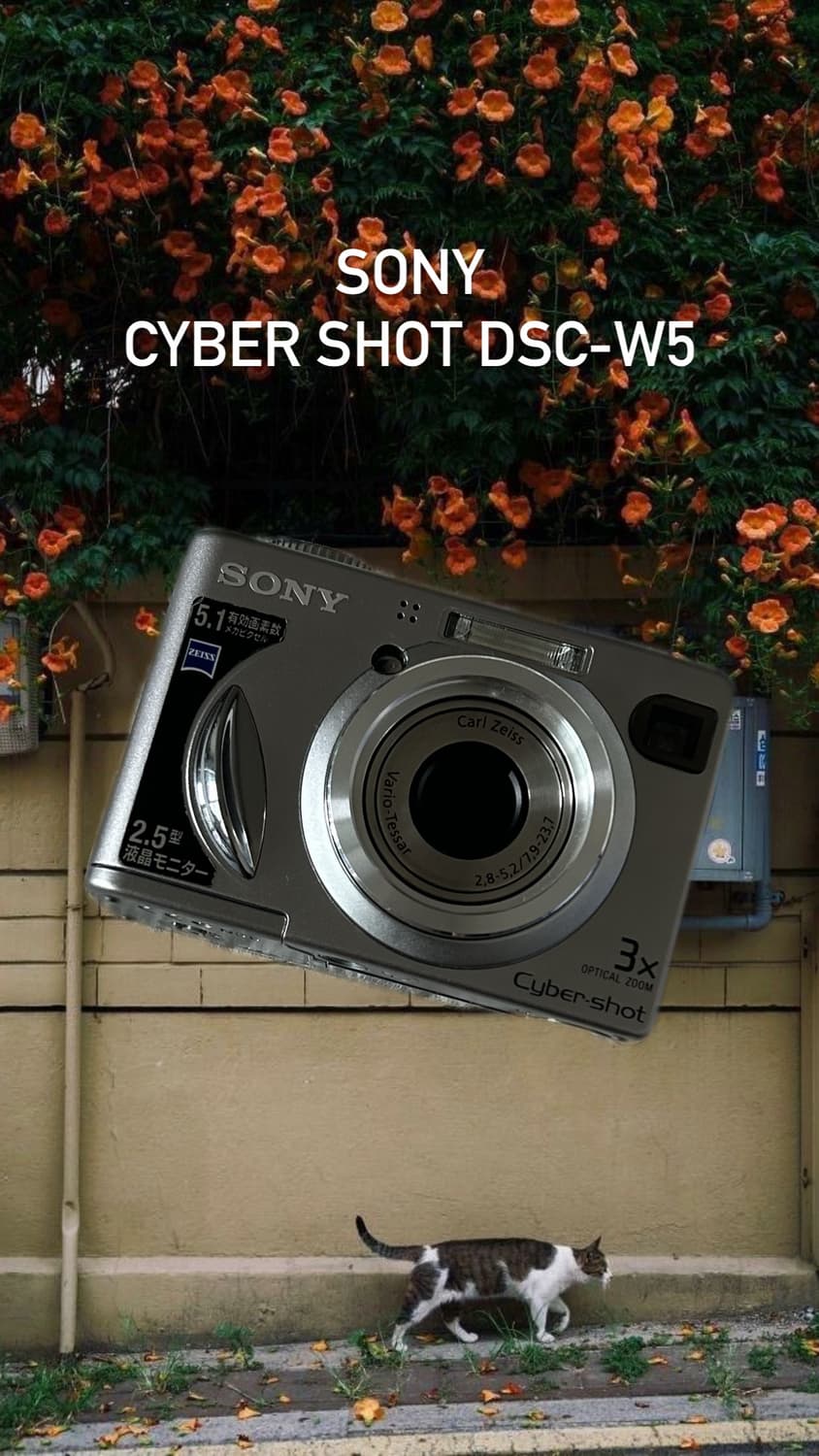 Sony Cyber-shot DSC-W5(상태 최상) 상품이미지1
